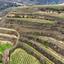 land for sale stroumbi paphos 7868445 thumbnail 15596396