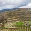 land for sale stroumbi paphos 7868445 thumbnail 15596400