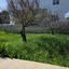 4 bedroom detached house for sale pervolia larnaca 8281545 thumbnail 16135855
