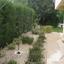 5 bedroom detached house for rent kato deftera nicosia 1152545 thumbnail 5157915