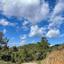 land for sale kakopetria nicosia 1744545 thumbnail 4766288