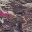 land for sale theletra paphos 8237545 thumbnail 14230585