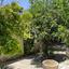 2 bedroom detached house for rent choulou paphos 8890645 thumbnail 17320992