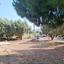 3 bedroom detached house for rent strovolos nicosia 8946645 thumbnail 17720714