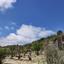 land for sale koili paphos 8628645 thumbnail 16717437