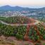 land for sale kornos larnaca 1194645 thumbnail 5568862