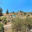 land for sale palaichori oreinis nicosia 8412645 thumbnail 14903304