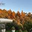 3 bedroom detached house for sale prodromos limassol 7921745 thumbnail 11223818