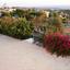 5 bedroom detached house for sale tala paphos 1355745 thumbnail 5642475