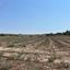 land for sale geri nicosia 8531745 thumbnail 15464981