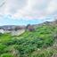 land for sale marathounta paphos 8087745 thumbnail 13146579