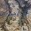 plot for sale agia fyla limassol 7895745 thumbnail 11080442