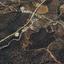 4746 SQM Land for sale in Evrychou, Nicosia thumbnail 15765041