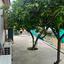 2 bedroom detached house for sale sotiros agios ioannis larnaca larnaca 1900845 thumbnail 9551978