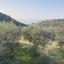 land for sale agios tychonas limassol 8476845 thumbnail 15238145