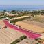 land for sale argaka paphos 8395845 thumbnail 14822073