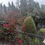 3 bedroom detached house for rent pyrgos limassol limassol 8433945 thumbnail 17260810
