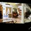 7 bedroom detached house for sale tsada paphos 8472945 thumbnail 15211716