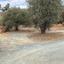 plot for sale germasogeia limassol 1568945 thumbnail 12670002