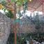 2 bedroom detached house for sale arsos lemesou limassol 8966055 thumbnail 17828474