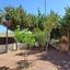 3 bedroom detached house for sale pervolia larnaca 1197055 thumbnail 5605815