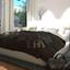 4 bedroom detached house for sale protaras famagusta 8644055 thumbnail 15920713