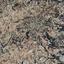land for sale polemi paphos 8255055 thumbnail 17355666