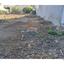 plot for sale ekali limassol 7509055 thumbnail 14120002