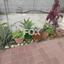 1 bedroom detached house for rent agia zoni limassol 8209155 thumbnail 14874770
