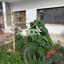1 bedroom detached house for rent agia zoni limassol 8209155 thumbnail 14874795