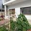 1 bedroom detached house for rent agia zoni limassol 8209155 thumbnail 14874796