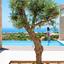 3 bedroom detached house for sale secret valley paphos 1916155 thumbnail 7431952