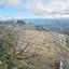 land for sale theletra paphos 1661155 thumbnail 4264961