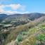 land for sale theletra paphos 1661155 thumbnail 4264963
