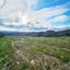 land for sale theletra paphos 1661155 thumbnail 4264966