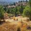 land for sale agios theodoros soleas nicosia 1011255 thumbnail 17433416