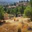 land for sale agios theodoros soleas nicosia 1011255 thumbnail 5194510