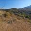 land for sale dora limassol 8926255 thumbnail 17613766