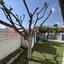 4 bedroom detached house for sale aradippou larnaca 1902355 thumbnail 17694089