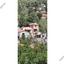 3 bedroom detached house for rent vavatsinia larnaca 8941455 thumbnail 17677162