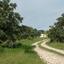 land for sale alaminos larnaca 7986455 thumbnail 11945078