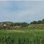land for sale alaminos larnaca 7986455 thumbnail 11945080