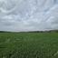 land for sale ormideia larnaca 8307455 thumbnail 14134820