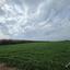 land for sale ormideia larnaca 8307455 thumbnail 14134841