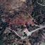 land for sale pera pedi limassol 1501455 thumbnail 5823882