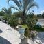 4 bedroom detached house for sale livadia larnacas larnaca 1195555 thumbnail 5580497
