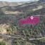 land for sale fikardou nicosia 8629555 thumbnail 15868902