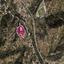 13406 SQM Land for sale in Kakopetria, Nicosia thumbnail 15219226