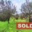 land sold kaliana nicosia 1877755 thumbnail 6984382