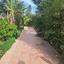 4 bedroom detached house for sale pano deftera nicosia 1730855 thumbnail 5567172